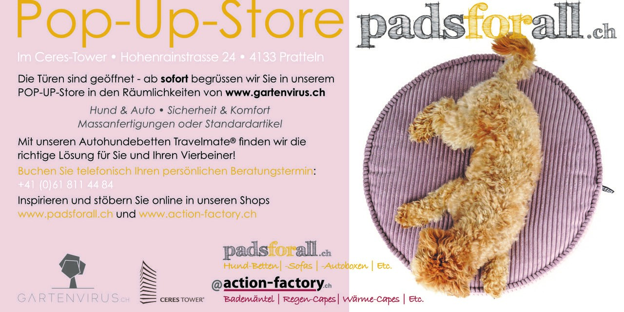 Logo-popup-store-text