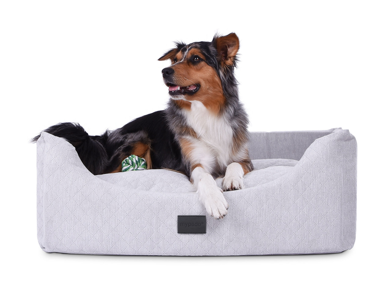Luxury Hundebett mit trendigem Obermaterial - Alma Trendy