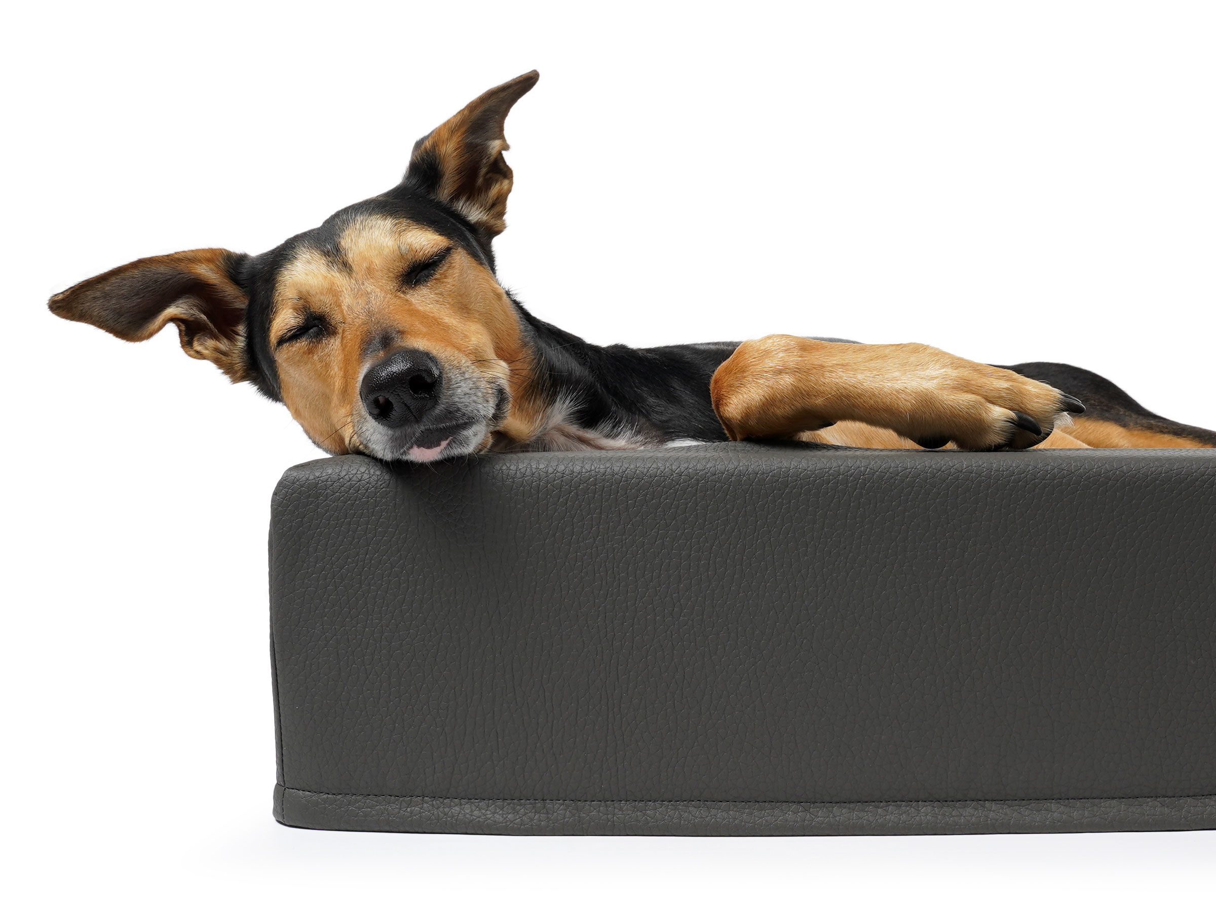 Couchage grand chien - CUBE Cuir