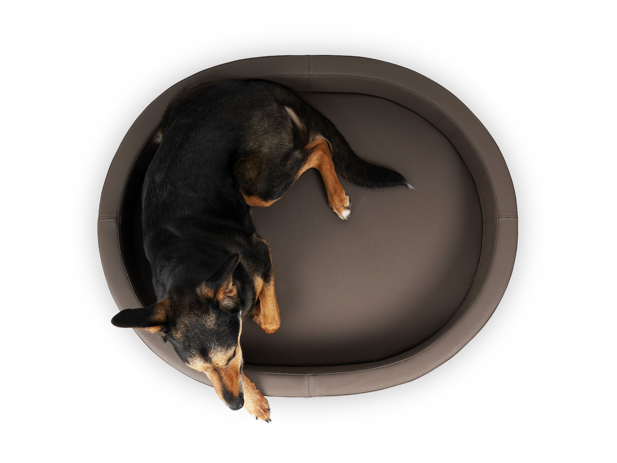 dog bed-london-faux-leather-premium-taupe-03iRVTudM96CPkf