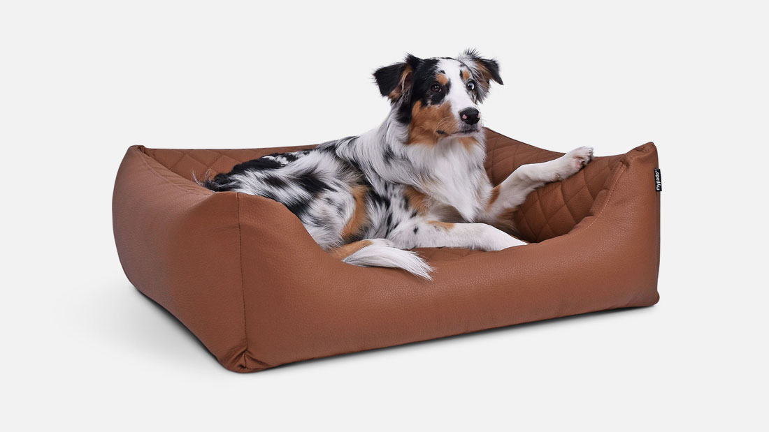 desc-dog-bed-worldcollection-select-quilted-02